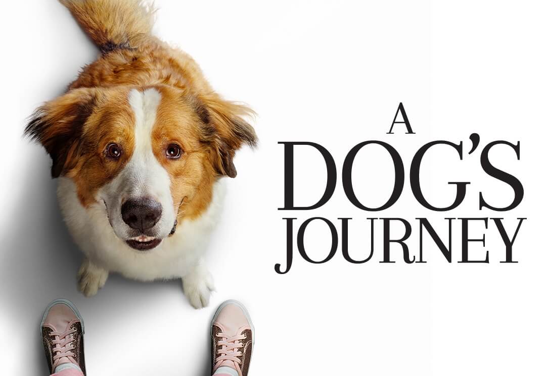 a dog's journey main characters