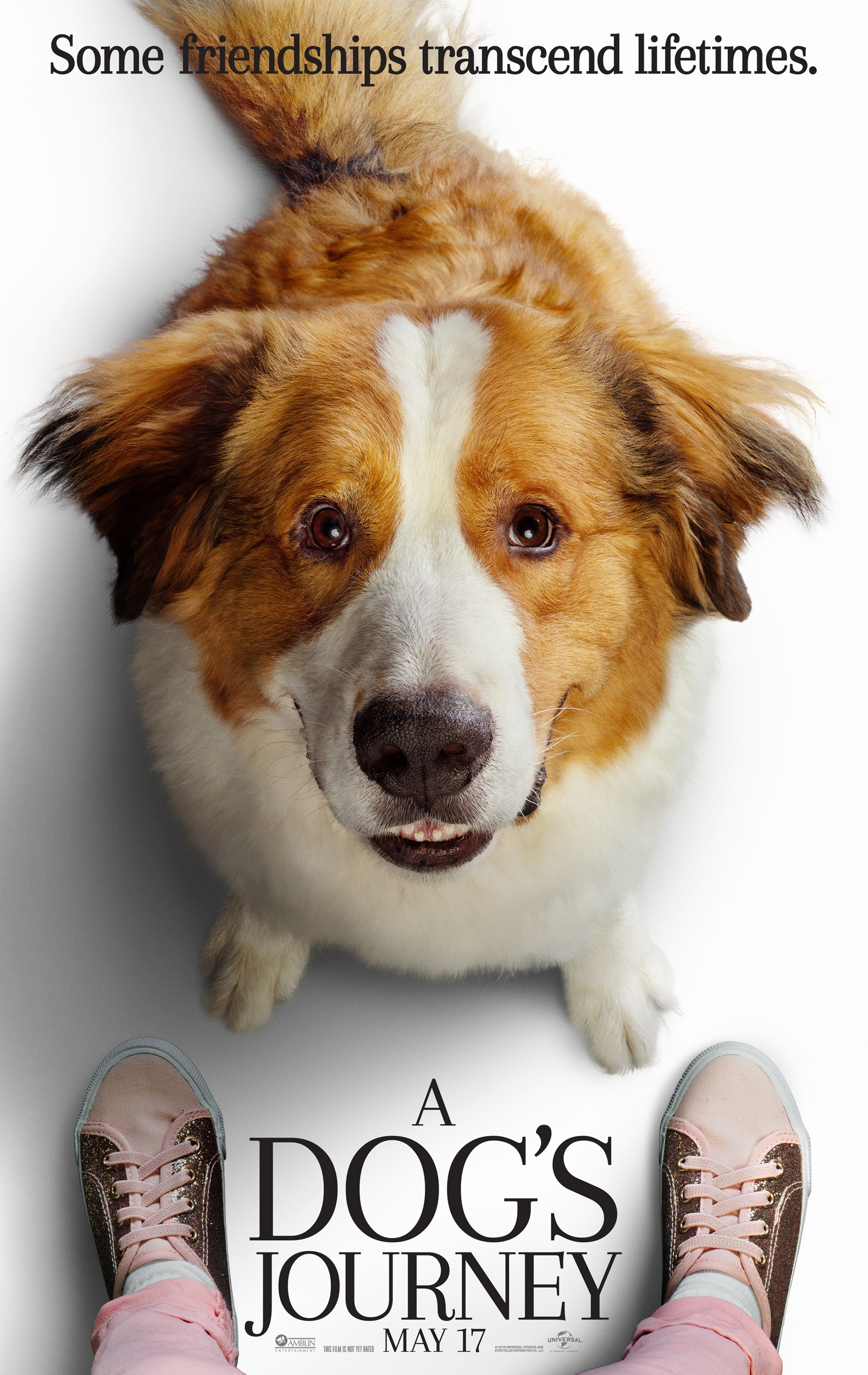 Image result for a dog's journey poster