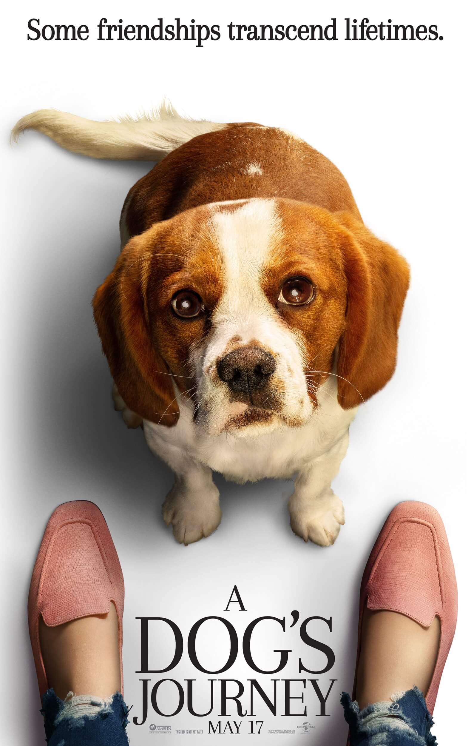 A Dog's Journey offical poster