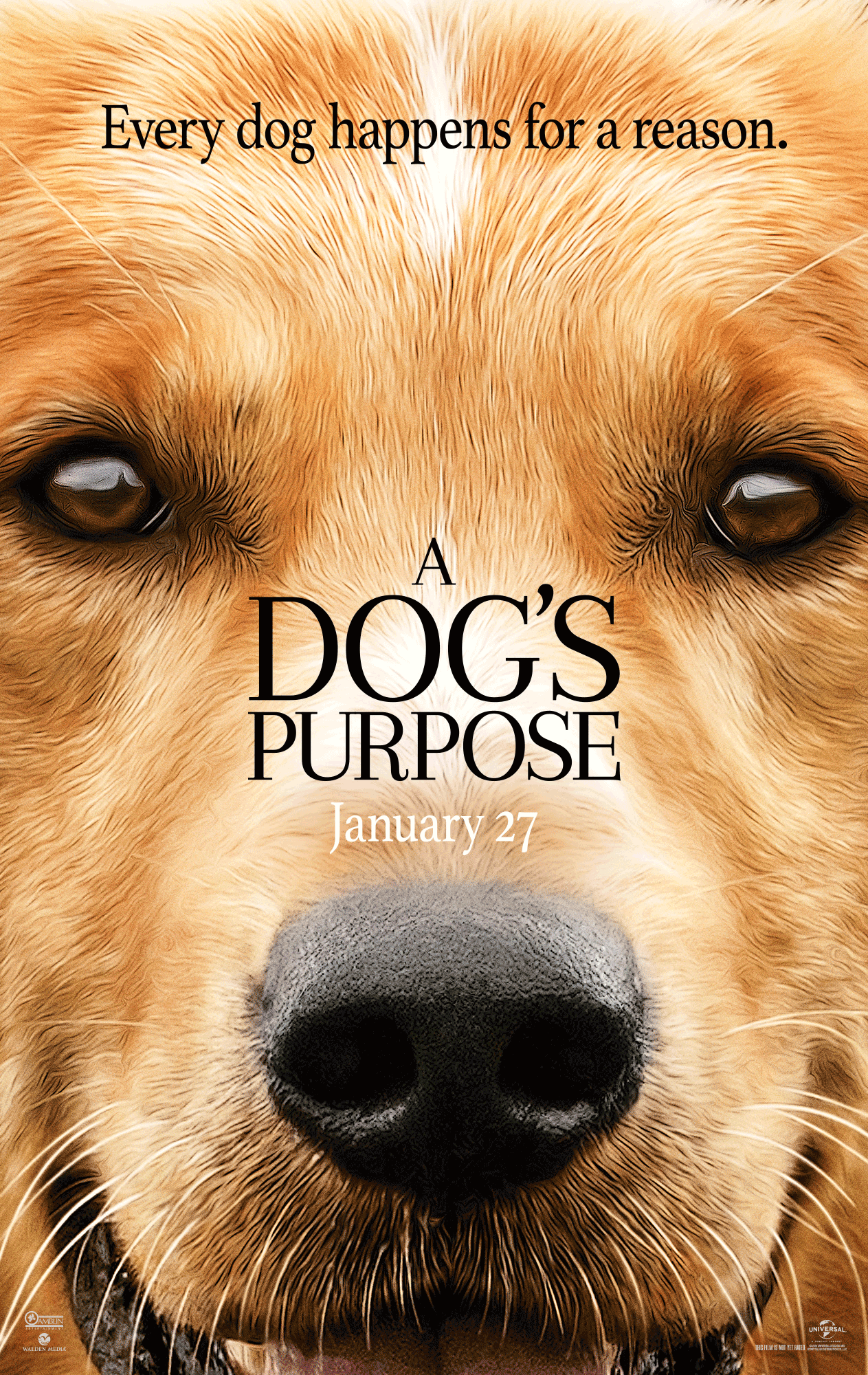 A Dog's Purpose Poster. In Theaters Now